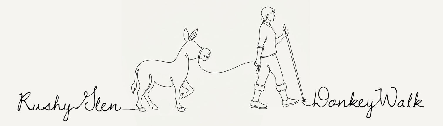 Rushy Glen Donkey Walk